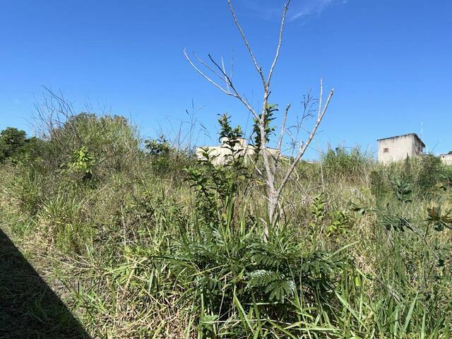 Área para Venda em Rio das Ostras - 5