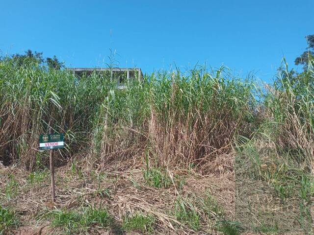 #196 - Área para Venda em Rio das Ostras - RJ